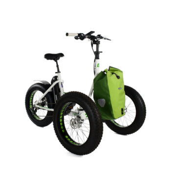 Etnnic Fat 2.0 offroad triciclo per adulti con borsa verde