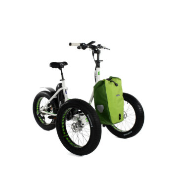Etnnic Fat 2.0 road triciclo per adulti