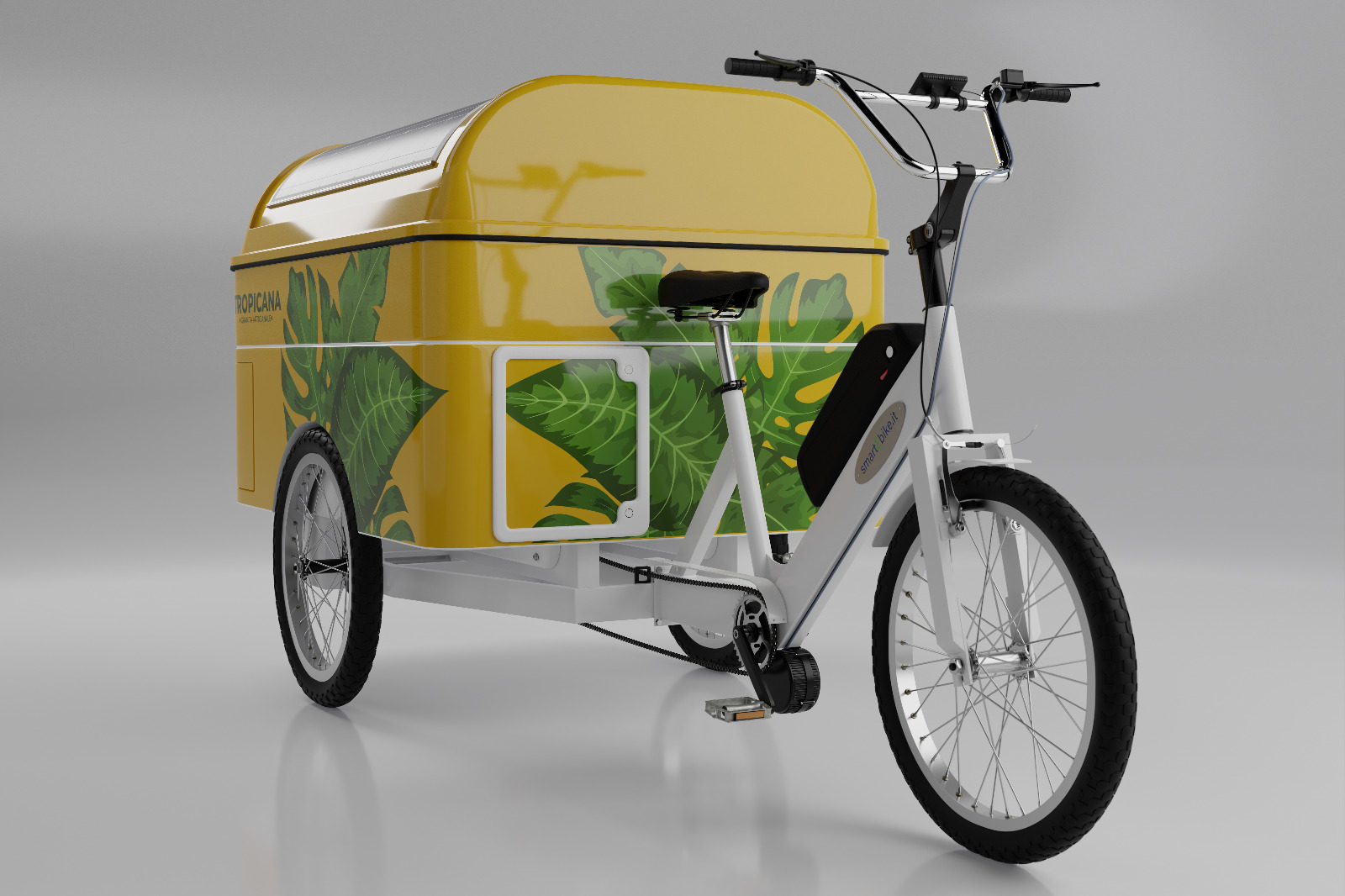 Cargo bike graniteria