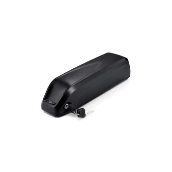 Batteria 19.6Ah Delight 3-pin