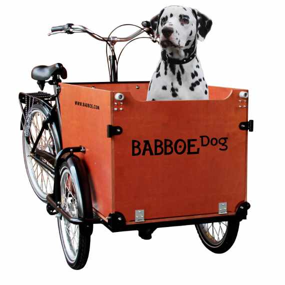 Cargobike Babboe Dog